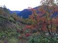 紅葉シーズンの北アルプス登山に、日本百名山「焼岳」！  山頂からはパノラマ展望・ピストン約5時間・マイカーアクセスもOK「現地レポ」の画像004