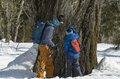 スノーシューで巨木の森へ！「王様の木、杉並木、鏡池」深雪に包まれた神秘的な姿に感動する！  パワースポットの宝庫【戸隠】で真冬にだけ出合える絶景の画像003