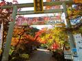 穴場の紅葉スポット！ 埼玉ドライブ「NO混雑＆NOストレス」でまわれる「飯能・日高」5選！ 「日本全国2周」旅ライター11月中旬「実走レポ」の画像002