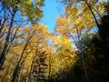 秋のパーフェクト絶景「紅葉＆峡谷＆滝」の完璧コラボ！ 「北海道・大雪山層雲峡」10月上旬「紅葉谷ハイキング」レポの画像002