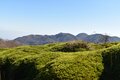 「片道4時間」登山の先に待つ幻想的なコケの大地！ 鈴鹿山脈の奥座敷「イブネ・クラシ」とは？の画像001