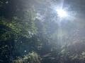 絶景の「夏富士」を眺望する「三ツ峠山」！  登山口から約3時間半、山名由来の3山「開運山・御巣鷹山・木無山」めぐる「登山レポ」の画像008