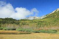 今週末の紅葉見るならどこ？  名所“人気スポット”から最新情報をお届け「WEEKLY紅葉ニュース」【2023年9月第5週】