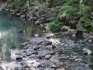 都心で自然に癒されたい！  池袋、原宿、目黒にも…東京・新宿駅から「電車で40分以内で行ける」オアシス的グリーンスポット7選