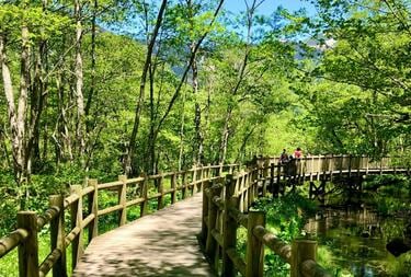 開山祭4月27日】ついにシーズン到来「上高地」！ 新緑＆グルメ満喫する