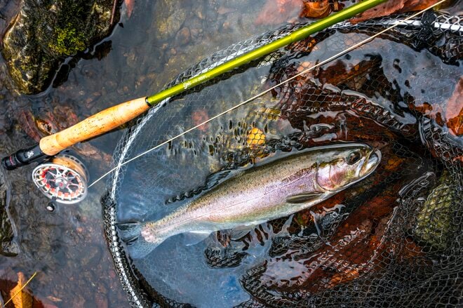 【釣り】完全予約制！ 広い渓流釣り場で真剣勝負！ 流れに見え隠れする魚影にドキドキ、ワクワクのフライフィッシング 「秩父フライフィールド」 埼玉県｜2025年の画像005