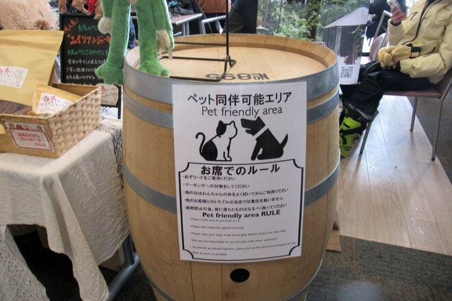 暖冬に雪不足！？ そんな心配がいらない “マルチ”ゲレンデ「白馬岩岳スノーフィールド」へ行ってきた！【全力体験レポート】の画像011