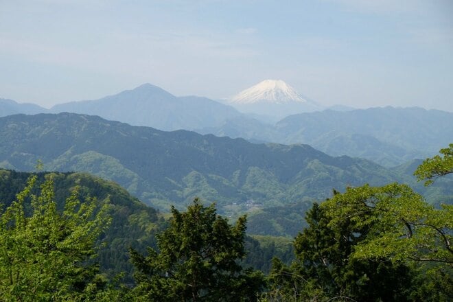 【新緑の高尾山は下山後もおもしろい】初心者向け「高尾山ハイキング」ガイドの画像015