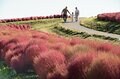 【新潟県・湯沢高原ロープウェイ】新幹線駅＆高速道路ICからごく至近！ “世界最大級”のロープウェイで行く「越後の山々」に囲まれた雲上の別天地の画像004