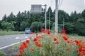 一度は見るべき、レア構造物！  日本一の高低差「らせん魚道」とは？  天然魚に優しい河川ジャンクション「上木馬瀬砂防堰堤」【ゆる6輪の旅 vol.03 群馬県安中市】の画像008