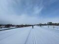 気温マイナス41℃！  観測史上「日本最寒」記録の北海道・旭川駅周辺の「霧氷・歩くスキー・雪上コーヒー」魅力アクティビティとは？の画像002
