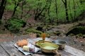 ＜4月末の御岳山レポート＞都心からすぐ。苔むした岩が美しい新緑のロックガーデン～宿坊ランチで異空間へ小トリップ！の画像006