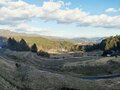 正月「モチ太り」解消！ 北摂の古道八差路「才ノ神峠」から約30分で登れる標高564mの三草山「登山ルポ」の画像002