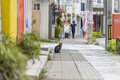 「うりずん」の季節に沖縄本島北部の中核都市・名護の市街地で出会ったシマネコたち【琉球島猫百景 vol.10  名護「屋根の上のニャ～ゴ」】の画像009