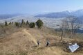 カタクリとサクラの共演！ 「歴史を感じる城跡へ続く道、春の里山でお花見登山」 【新潟県 坂戸山 2024年】の画像005