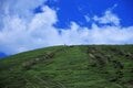 「湖畔のパノラマ台」から望む富士山と南アルプスの「ブラボー」な競演！＜山梨県 精進湖＆山中湖 後編＞【今日も山旅気分 vol.6】の画像001