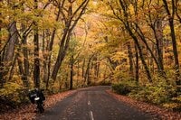 「燃える！ 紅葉トンネル」絶景のキャンプ＆ツーリング！ 10月下旬「宇樽部キャンプ場＆奥入瀬渓流」青森・十和田湖レポ
