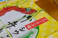 【限定シウマイ弁当が7年振りに再販】崎陽軒「ドリーミング筍シウマイ弁当」を食べてみた