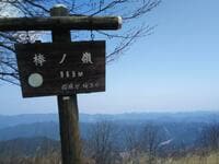 桜とアセビが彩る奥多摩の低山「棒ノ折山」 エメラルドグリーンのダム湖から清流＆滝をたどる人気コース「水源のみち」登山レポ！