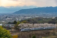 鉄道マニアじゃなくても楽しめる！ 「電車と桜の組み合わせに夢中」車窓から見える絶景スポットはお花見の名所だった！  2022年【山梨県・勝沼ぶどう郷駅】