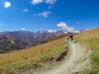 【速報】新雪と紅葉のコラボレーション！ 「絶景の白馬岩岳マウンテンリゾート・マウンテンハーバー」 爽快！ MTBで色づく森を走り抜ける