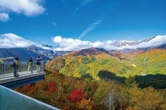 【カメラを持って秋山へ行こう】「白馬岩岳マウンテンリゾート」紅葉フォトトレッキングガイド＜長野県白馬村＞