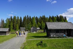 「1週間で30サウナ」ガチツアー！ サウナ好きすぎ女性ライター、フィンランドに行く「キングオブサウナ」に包まれた日