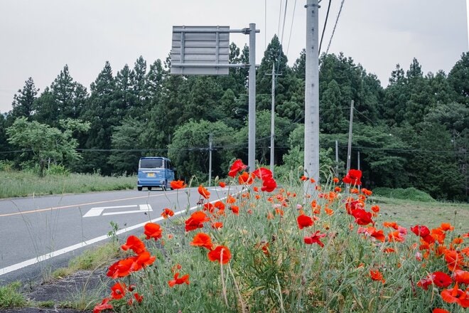 一度は見るべき、レア構造物！  日本一の高低差「らせん魚道」とは？  天然魚に優しい河川ジャンクション「上木馬瀬砂防堰堤」【ゆる6輪の旅 vol.03 群馬県安中市】の画像008