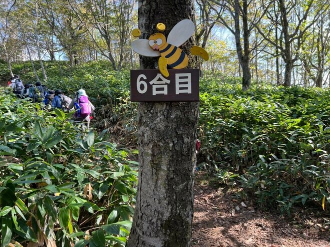 【第5回 コロンビア アウトドア アカデミー】 札幌から1時間、初心者に最適！  支笏湖を望む「絶景登山」ガイドツアー「イチャンコッペ山」レポートの画像006