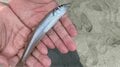 知らないと危険！「子どもの釣りデビュー」のための「5つの要確認ポイント」とは？の画像002