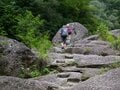 【世界自然遺産・屋久島】屋久杉の巨木「弥生杉・二代杉・気根杉」と苔に包まれた “もののけの森”「白谷雲水峡」をめぐるの画像002
