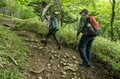 【コージー中嶋のTrip＆Activity！】前日泊でゆとりをもっての出発もよし、下山後に温泉で疲れを癒すもよし！  大人のエンジョイ登山【大江戸温泉物語 ホテル新光 de 大菩薩嶺登山編】の画像016