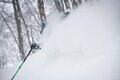 【つがいけマウンテンリゾート】栂池に降る極上の雪「TSUGA POW」に魅了されること確実！ 白馬エリア随一のビッグゲレンデの画像001