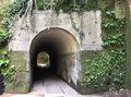 都内から約1時間半！「日帰りで行ける無人島」横須賀市・猿島での「非日常」体験とは？の画像003