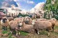 ドローンで撮った奈良の天下の奇景・鍋倉渓！  岩の下を流れる「見えない渓流」と古代ロマンの「巨石」の画像004