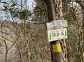 室町時代の謂れが残る大阪近郊日帰りハイキングルート「星田古道」裏山新緑トレイルの魅力【里山アドベンチャー！ソトアソ日和 vol.10】の画像002
