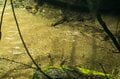 【渓流釣り】そぼ降る雨にしっとりと濡れた渓 「濃い魚影、しかも高活性だけどスレスレのイワナたちにドキドキのフライフィッシング！」 長野県｜2026年の画像007