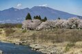 「地図にない場所」 “日本で海岸線から一番遠い地点”へ！【長野県佐久市 2023年】の画像004