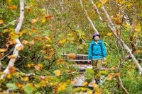 異色コラボ！ レストラン “sio 鳥羽周作氏” が長野県小谷村の食材を贅沢に使った限定「otari弁当」を監修【中部国立公園・栂池自然園で販売！】