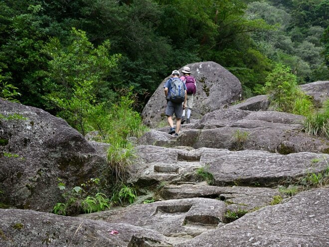 【世界自然遺産・屋久島】屋久杉の巨木「弥生杉・二代杉・気根杉」と苔に包まれた “もののけの森”「白谷雲水峡」をめぐるの画像002