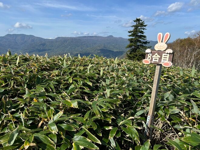 【第5回 コロンビア アウトドア アカデミー】 札幌から1時間、初心者に最適！  支笏湖を望む「絶景登山」ガイドツアー「イチャンコッペ山」レポートの画像008