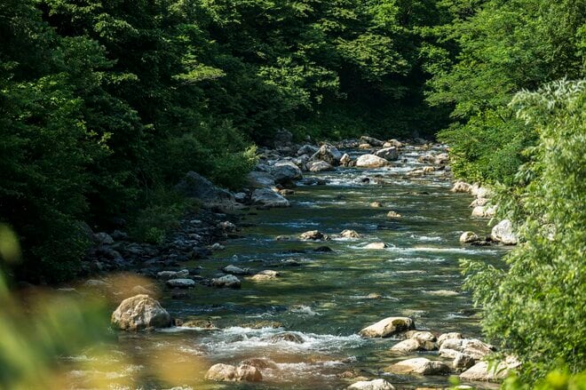 【渓流釣り】高活性、積極的なヤマメたち！ スローモーションで浮き上がってきた、のんびりなイワナ  新潟県｜2026年の画像001
