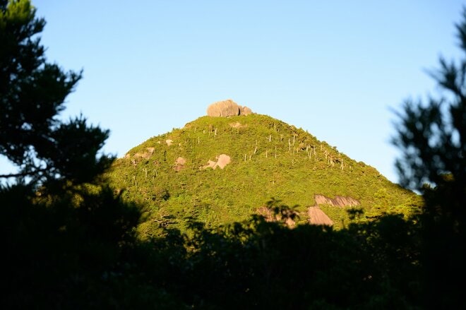 【世界自然遺産・屋久島】九州最高峰の「宮之浦岳」へ！  日本最南端の高層湿原「花之江河」を抜け、洋上のアルプスに臨むの画像005