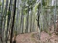 【シメはおでんとビール！】大阪と奈良と京都のキワに隠れた穴場ハイキングルート「タイムスリップトレイル」【里山アドベンチャー！ソトアソ日和 vol.12】の画像012