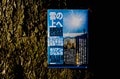 6日間で「エベレスト」に２度登頂！  偉業を成し遂げた「キリアン」ってどんな人？の画像003