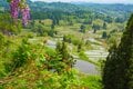 【田舎の絶景】いにしえから変わらない日本の宝！ 「水鏡が美しい」星峠の棚田 〈新潟県十日町市〉2022年の画像001