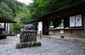 【世界自然遺産・屋久島】屋久杉の巨木「弥生杉・二代杉・気根杉」と苔に包まれた “もののけの森”「白谷雲水峡」をめぐるの画像001