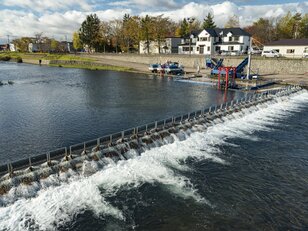 「秋の風物詩」サケの群れが故郷・千歳川へ「ド迫力遡上」！「戻れるのは100匹のうち1匹だけ」【2021年・北海道】