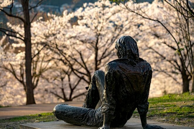 観測史上最速！ 驚愕のスピード！ 「開花からたった2日で満開となった桜が魅せる景色」 善光寺北側・長野市のお花見スポット・城山公園 2022年の画像004