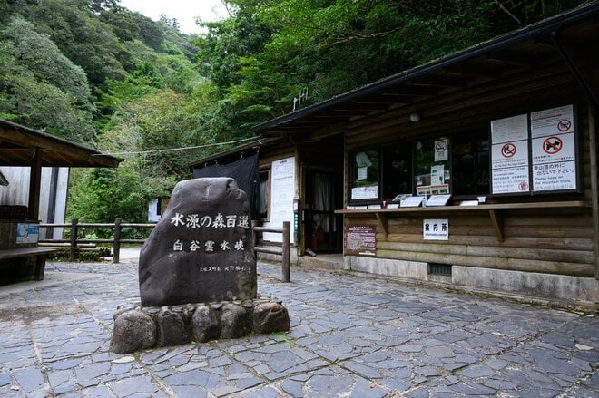 【世界自然遺産・屋久島】屋久杉の巨木「弥生杉・二代杉・気根杉」と苔に包まれた “もののけの森”「白谷雲水峡」をめぐるの画像001